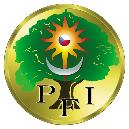 Logo PFIcz